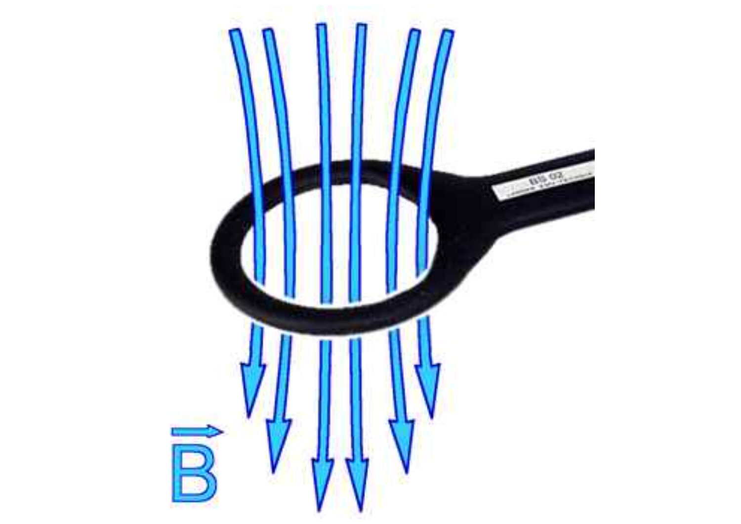 BS 02